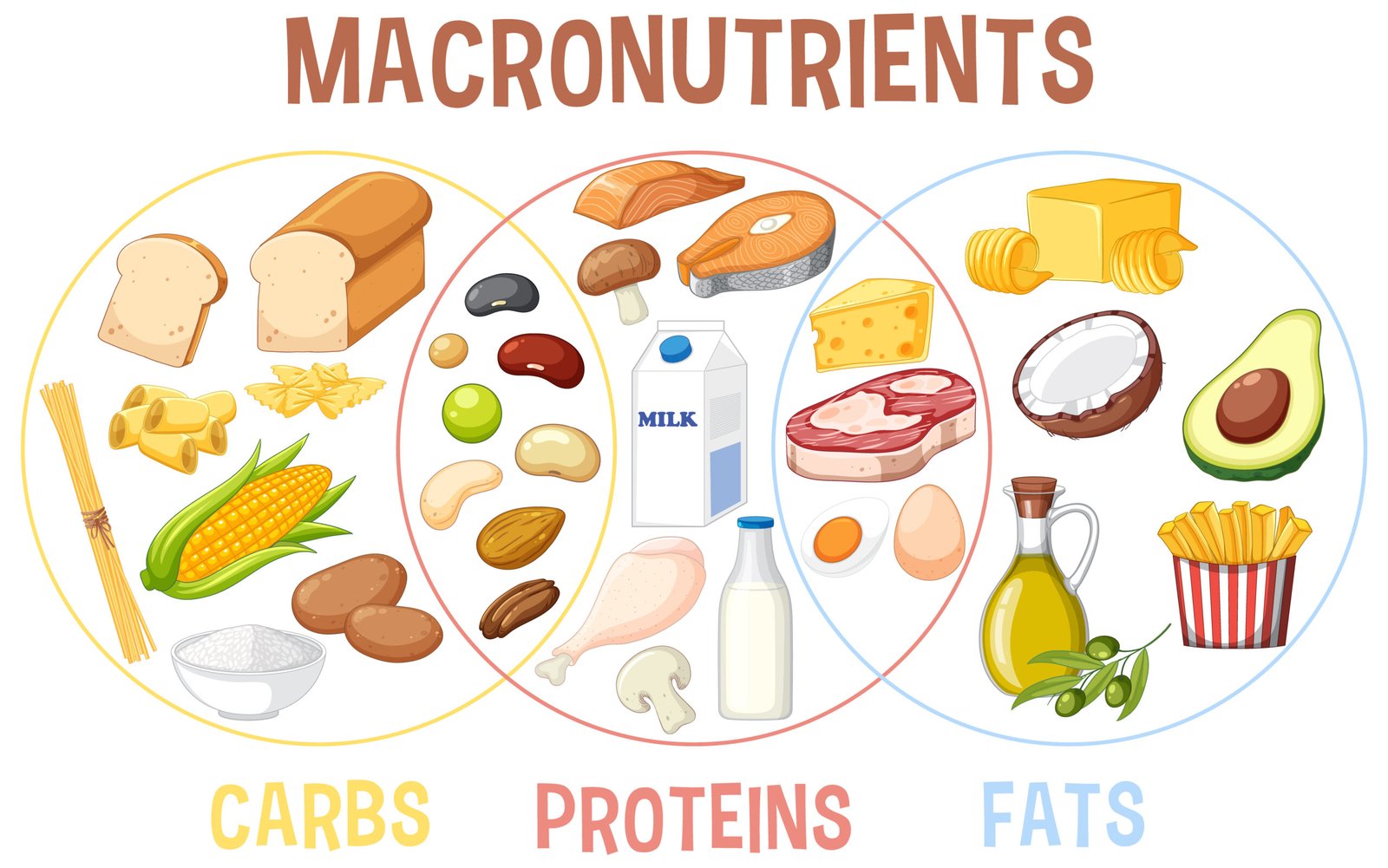 macronutrients